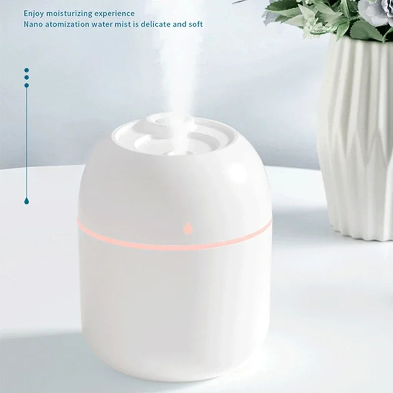 220ml Mini Mist Humidifier