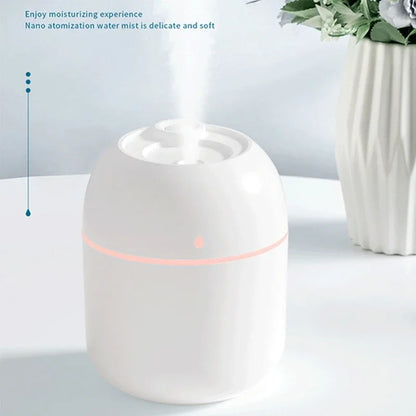 220ml Mini Mist Humidifier