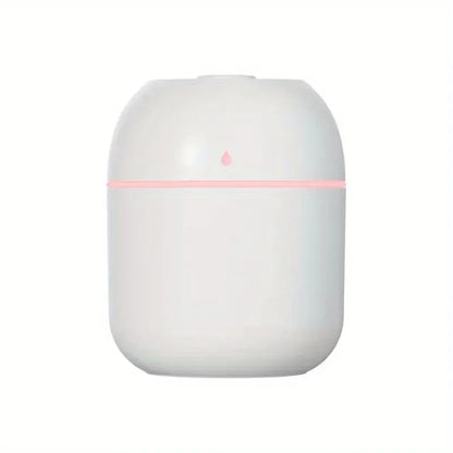 220ml Mini Mist Humidifier