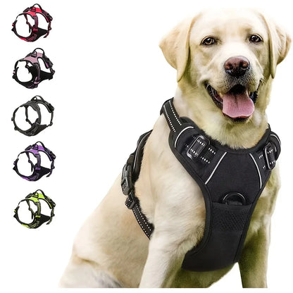 no-pull-dog-harness.jpg