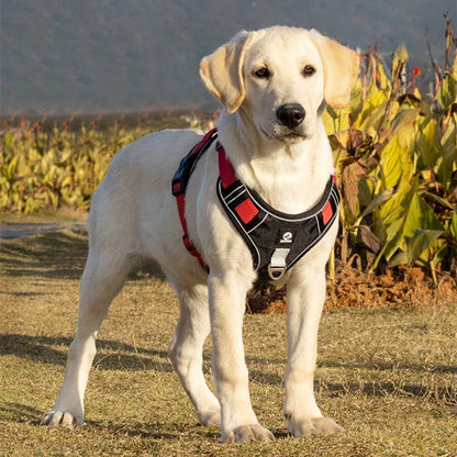 Dog Reflective Safety Training Harness