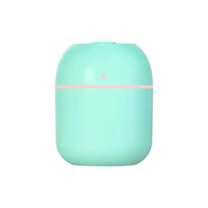 220ml Mini Mist Humidifier