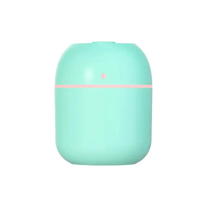 220ml Mini Mist Humidifier