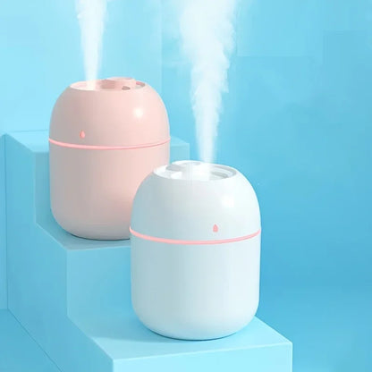 220ml Mini Mist Humidifier