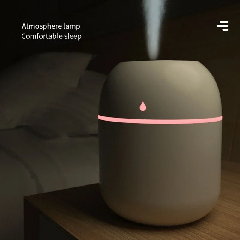 220ml Mini Mist Humidifier