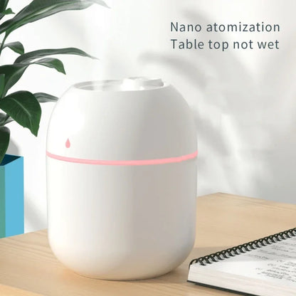 220ml Mini Mist Humidifier