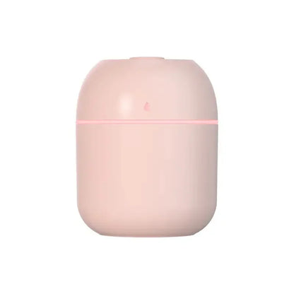 220ml Mini Mist Humidifier