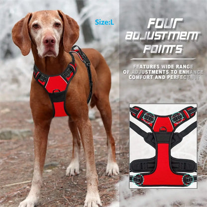 no-pull-dog-harness.jpg